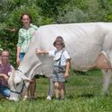 13-06-2017-gruppo-waldner-payssli-wirginia-02